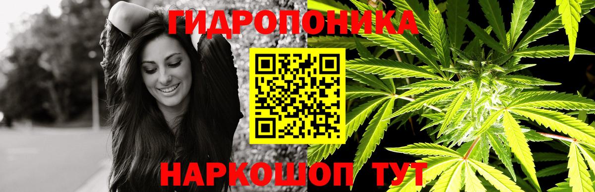 Канабис SATIVA & INDICA  Канабис SATIVA & INDICA  Вход с VPN  Бошки марихуана сатива  Костомукша  МАРИХУАНА LSD WEED 