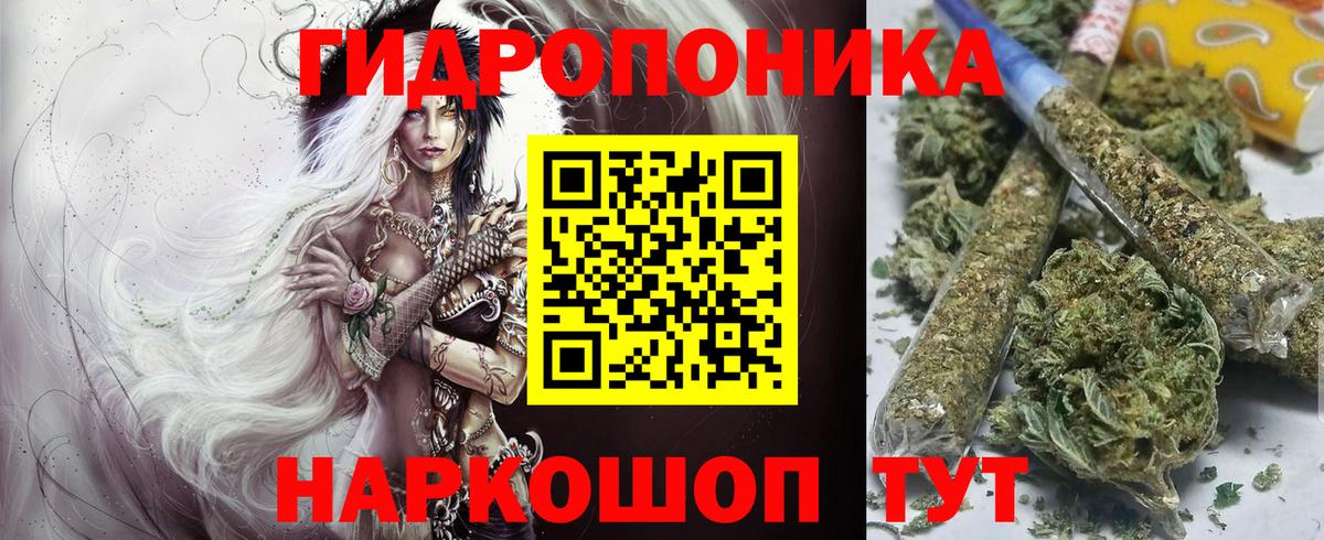 Каннабис OG Kush Костомукша
